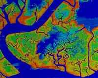 Coastal marshes more resilient to sea-level rise than previously believed