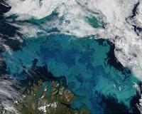 Spring brings phytoplankton blooms to North Sea
