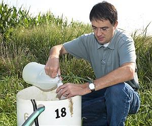 Switchgrass Lessens Soil Nitrate Loss Into Waterways