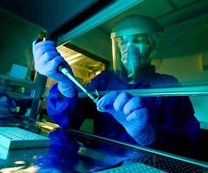 Ancient genome reveals its secrets