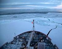 Canada must establish new Arctic shipping policies: report