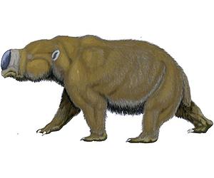 Climate shift killed Australia's giant beasts: study