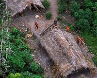 Last survivor of Brazil tribe under threat: NGO