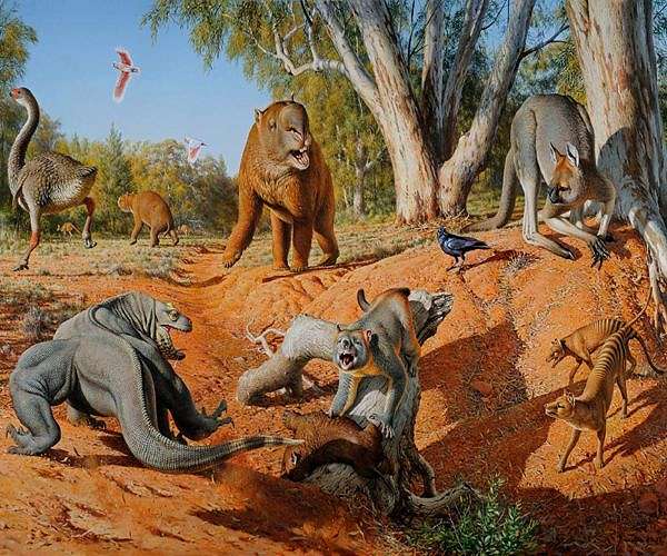 Evidence suggests ancient Australians valued fossils rather than causing megafauna extinction