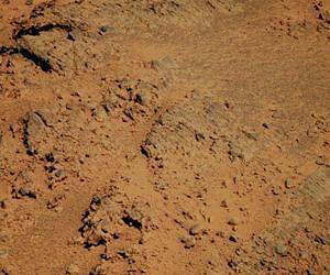 Opportunity Spent Holiday at 'Turkey Haven'
