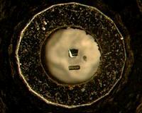 Caltech Announces Discovery in Fundamental Physics
