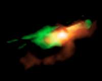 ALMA resolves gas impacted by young jets from supermassive black hole