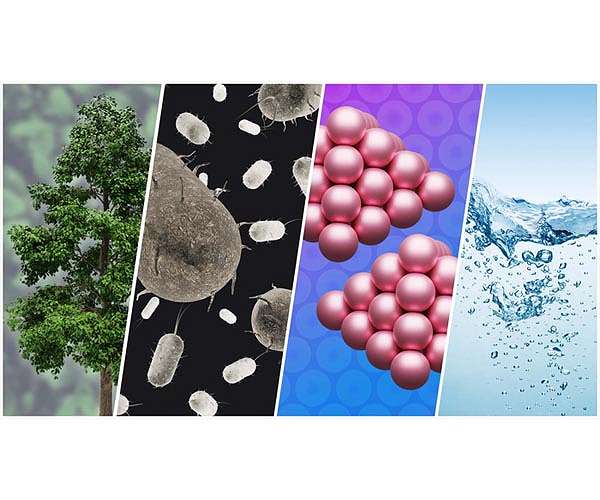 Microbes can provide sustainable hydrocarbons for the petrochemical industry