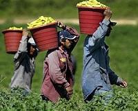US farmers more cautious than hopeful after China trade deal