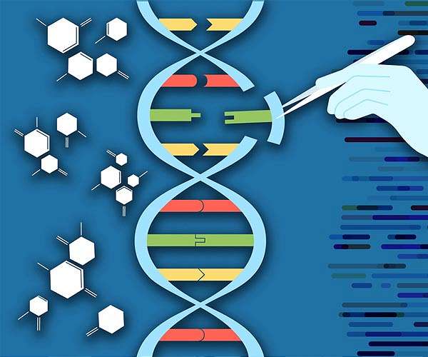 Gene editing and plant domestication vital to safeguard global food security