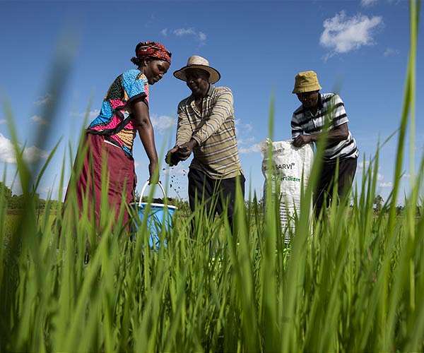 A life-changing fertilizer for rural farmers in Kenya
