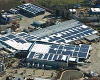 How Green Are Green Business Pastures