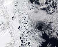 Study shows algae thrive under Greenland sea ice