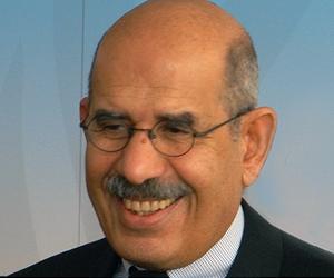 ElBaradei blasts 'failure' of Western Mideast policy: report