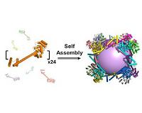 Biochemists build largest synthetic molecular 'cage' ever