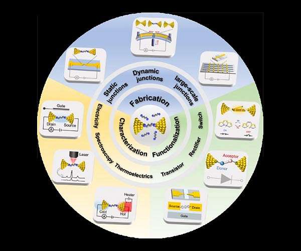 Molecular electronics: a possible solution beyond Moore's Law