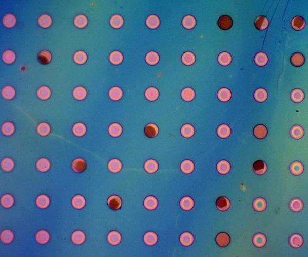 New lightweight polymer film can prevent corrosion
