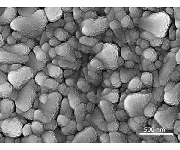FSU researchers find decrease in crucial trace element preceded ancient mass extinction