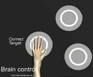 Monkeys 'move and feel' virtual objects using only their brains