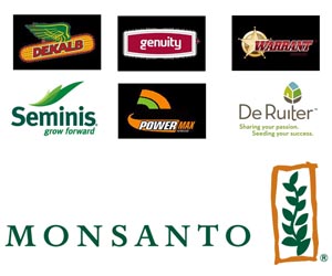 Monsanto gives up on new GM crops in EU