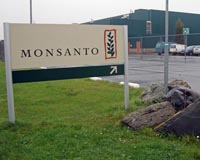 Dying groundskeeper to testify in Roundup cancer trial