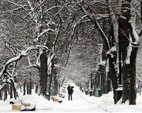 Record-breaking snowfall cloaks Moscow
