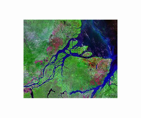 Brazil sells rights to oil blocks near Amazon river mouth