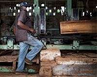 In Mozambique, a joint fight against climate change and forest loss