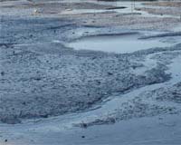 9 missing after mudslide, flooding in Argentine town