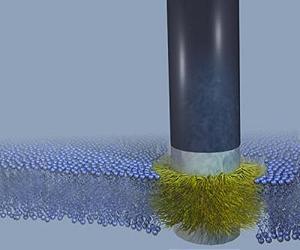 Nanoscale Stealth Probe Slides Into Cell Walls Seamlessly
