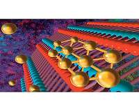 2D gold quantum dots are atomically tunable with nanotubes