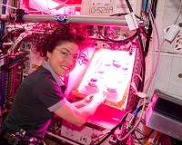 NASA astronaut's record-setting mission helps scientists for future missions