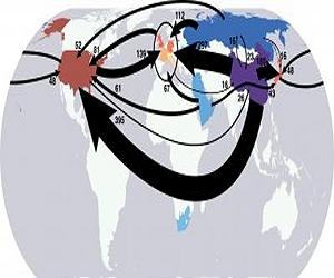 Links in the chain: Global carbon emissions and consumption