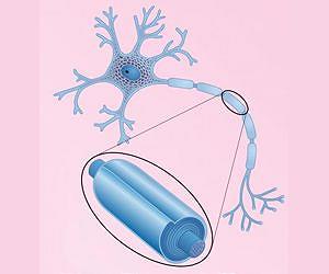 New nanoscale imaging may lead to new treatments for multiple sclerosis