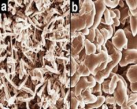 Dendrite eraser: New electrolyte rids batteries of short-circuiting fibers
