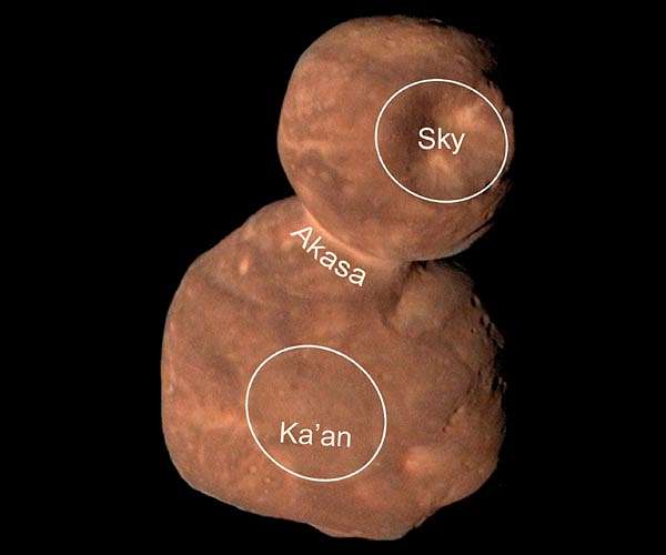 The Persistent Ices of Kuiper Belt Object 486958 Arrokoth