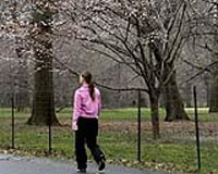 CGSE Unveils Navigation System For NY's Central Park