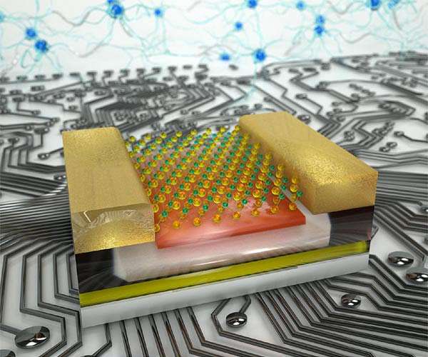 Next-generation computer chip with two heads