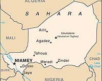 Meningitis epidemic kills 45 in Niger