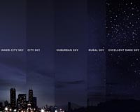 Light pollution affects most of the planet's key wildlife areas