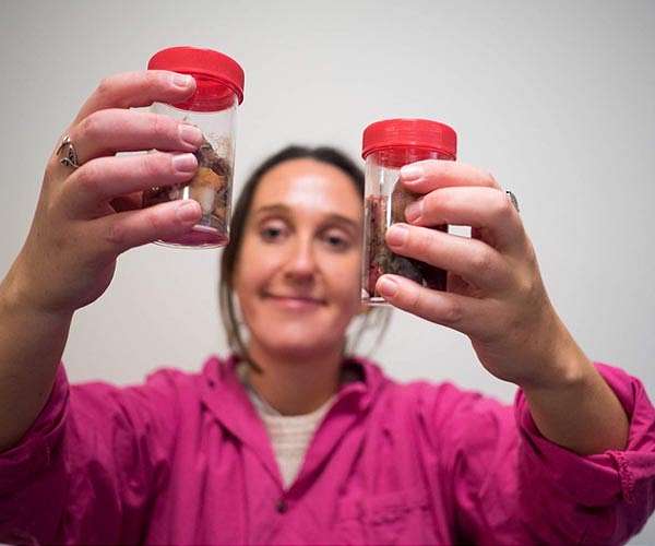 Fishing for solutions to the plastic problem