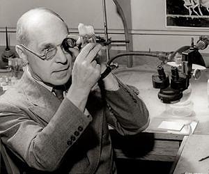 Nobel Laureate may have suppressed evidence on radiation effects in 1946
