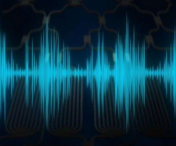 Stay-at-home orders cut noise exposure almost in half