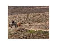 'Extreme drought' in North Korea: KCNA