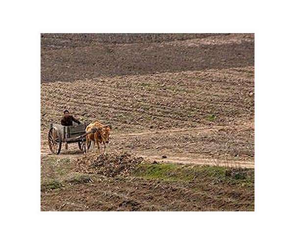 North Korea's Kim opens key meeting on agriculture