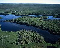 Climate change in Quebec equals a much greater diversity of species?