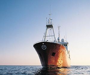 Argentina turns up heat on Falklands shipping