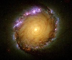 Largest Atlas Of Nuclear Galactic Rings Unveiled