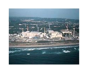 Japan PM orders shutdown of nuclear plant near faultline