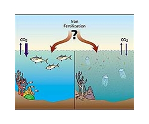 Geo-engineering: the planet's savior or untested danger?